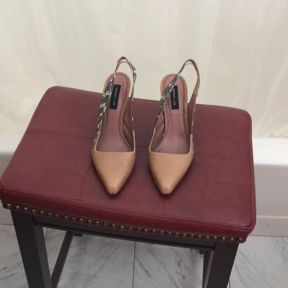 Derek Lam pumps EUC